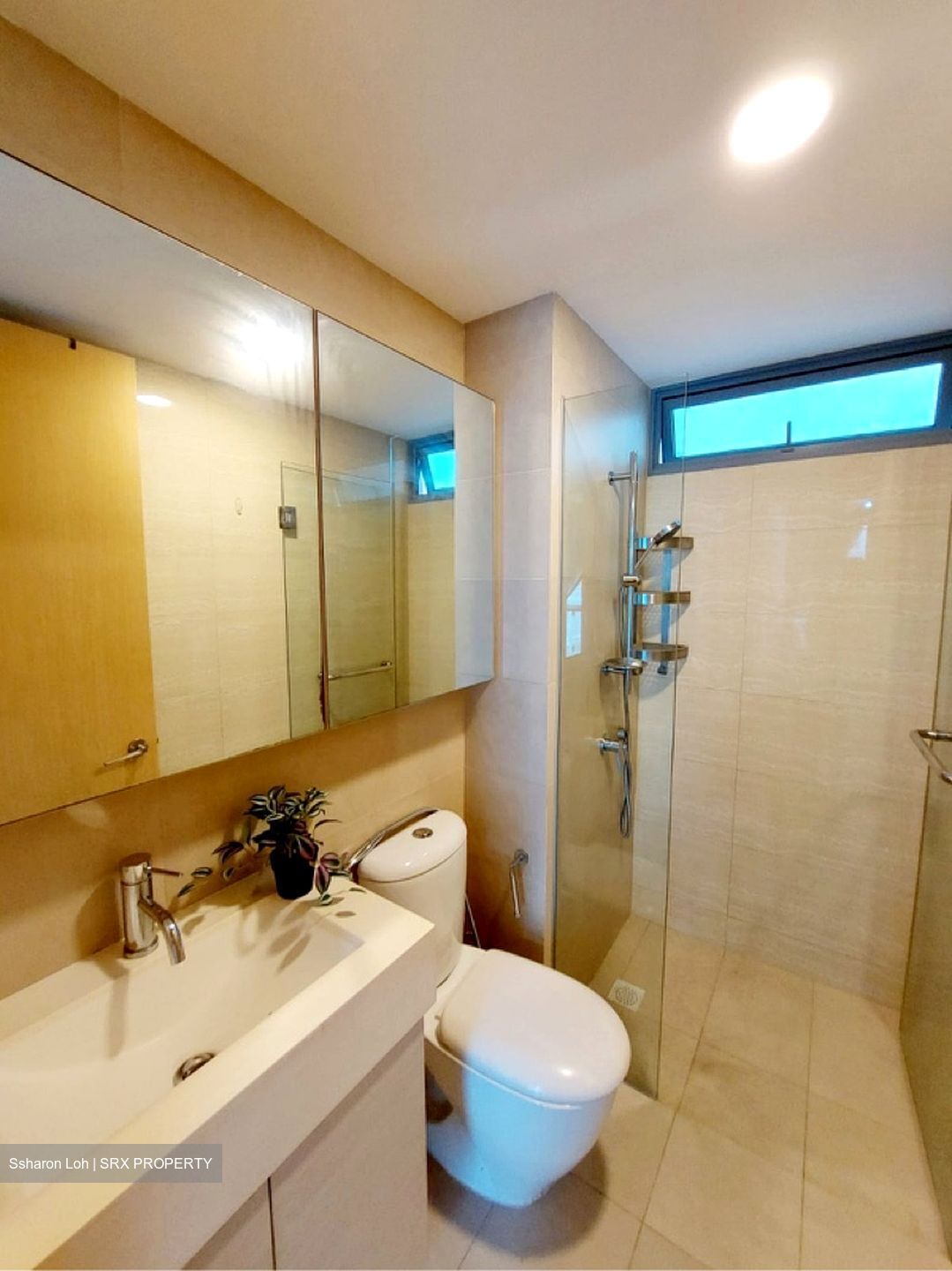 A Treasure Trove (D19), Condominium #607666651